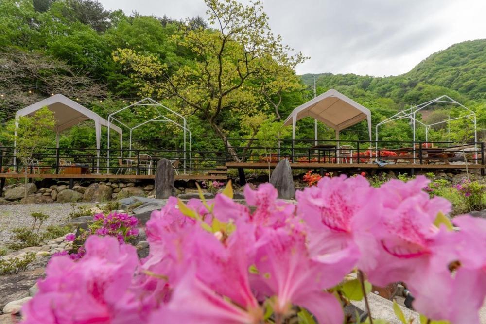 Hadong Hanok Pension The Better Day Ngoại thất bức ảnh